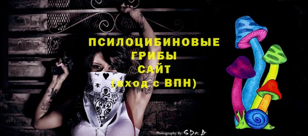 MDMA Premium VHQ Аркадак
